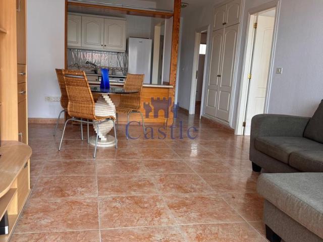 ID 26083 Two Bedroom Apartment For Rent in Roque del Conde
