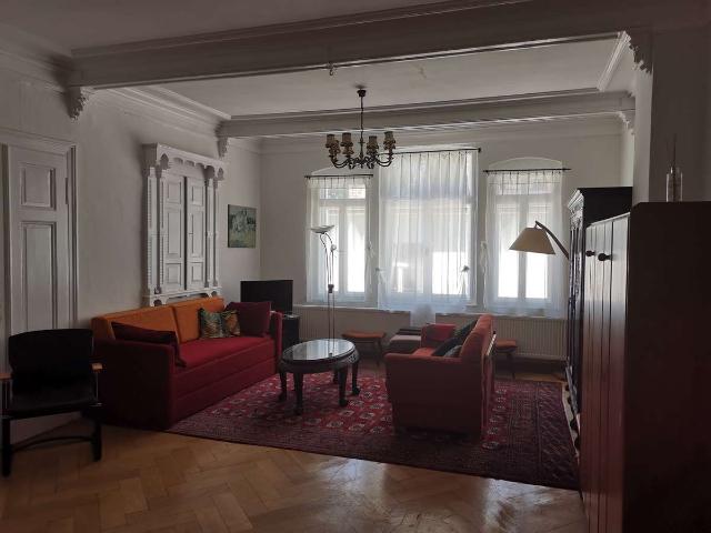 Ideal: zentral gelegen, möbliert, große helle Wohnung in Altstadt Bahnhofsnähe