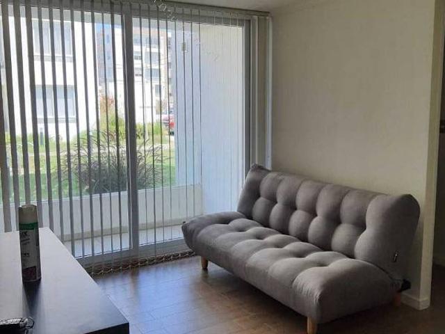 Ideal a profesionales hasta diciembre