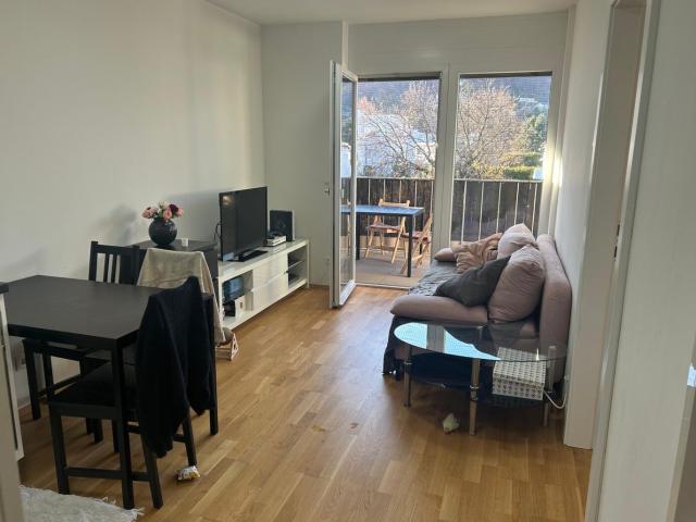 Ideal Aufgeteilte 2 Zimmer Wohnung mit einem Großen Balkon in Grünruhelage in Gösting in Sehr Guter Lage Provisionsfrei