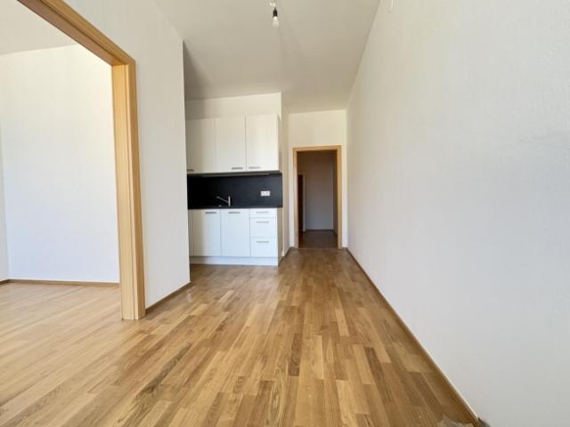 Ideal aufgeteilte 3 Zimmerwohnung mit neu eingebauter Küche
