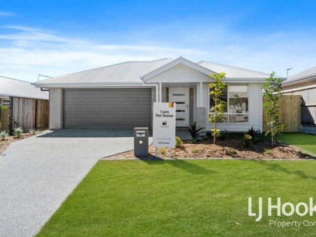 Ideal Family Home Stylish but Practical Generous Backyard & 2 x Living Zones