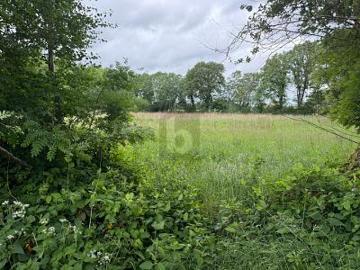 Lutzhorn, Elbe-Weser-Dreieck, Schleswig-Holstein
