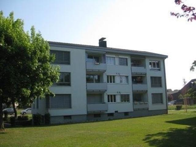 Meine neue Wohnung 1. Monat GRATIS