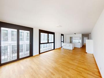 Altstadt, Frankfurt am Main, Romerberg, Altstadt, Westend Nord