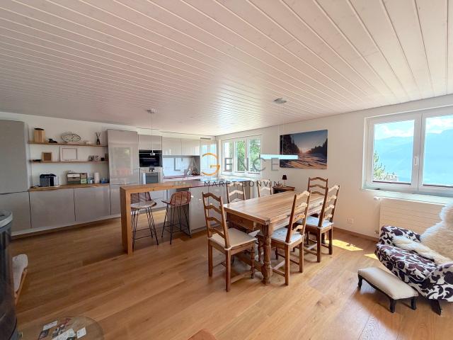 Ideal gelegene 4,5 Zimmer Wohnung mit Panoramablick