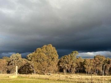 Ideal Getway With back bounday on Wild Duck Creek