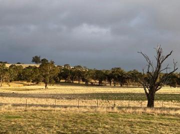 Ideal Getway With back bounday on Wild Duck Creek