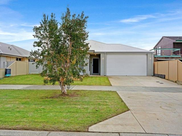 Ideal Glen Iris
