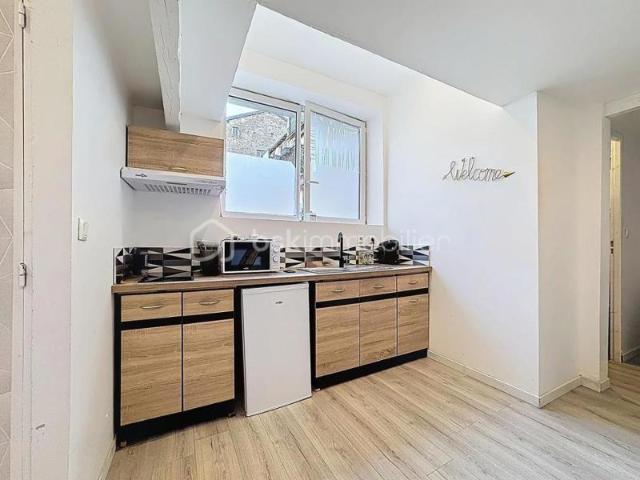 Idéal Investisseur ou Premier Achat – Studio Rénové avec Mezzanine et Terrasse Partagée