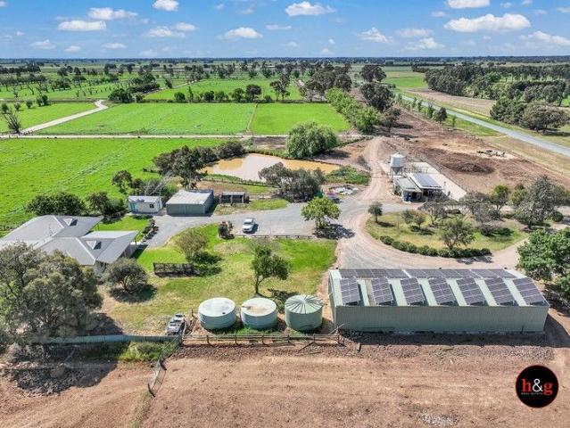 Ideal Single Operator Dairy Farm