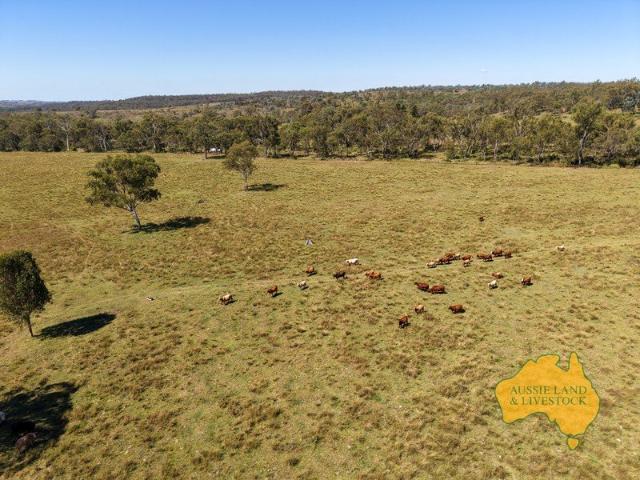 Ideal starter or add on cattle property