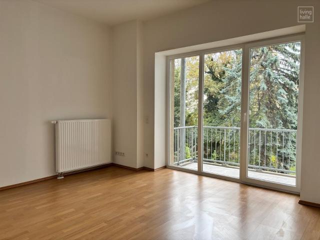 Ideale 1 Raumwohnung mit sonnigem Balkon