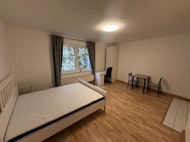 Ideale Lage! 1 Zi Whg nähe Oeder Weg zu vermieten !