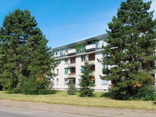 idylisch im Grünen Mariendorf !