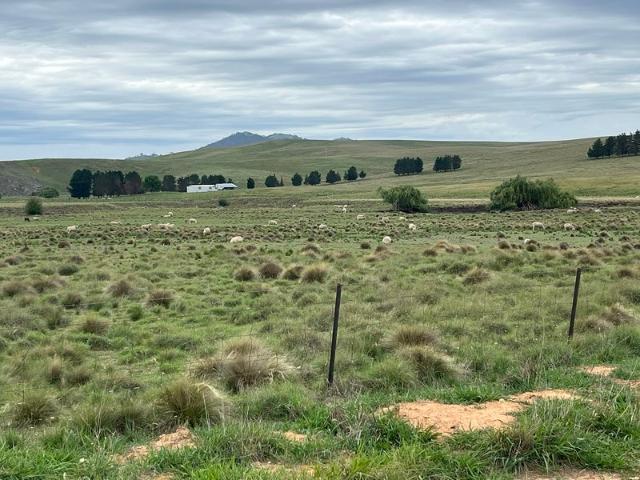 IDYLLIC RURAL LIFESTYLE 40 MINUTES TO CANBERRA & 1.5 HOURS TO NSW SKI FIELDS