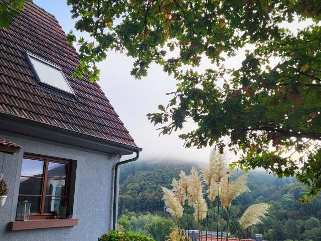 Idyllisch gelegen, naturnah kleines Haus mit ca 80qm plus Garten