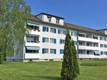 Idyllische, grüne Wohnlage an der Stadtgrenze zu Basel