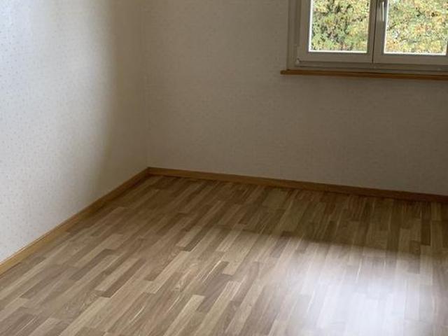idyllische 4 Zimmerwohnung an ruhiger Lage in Wetzikon