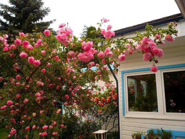Idyllisches Einfamilienhaus in Bungalowstil mit Rosengarten