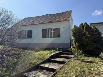 Haus kaufen in Burgauberg-Neudauberg - Garten