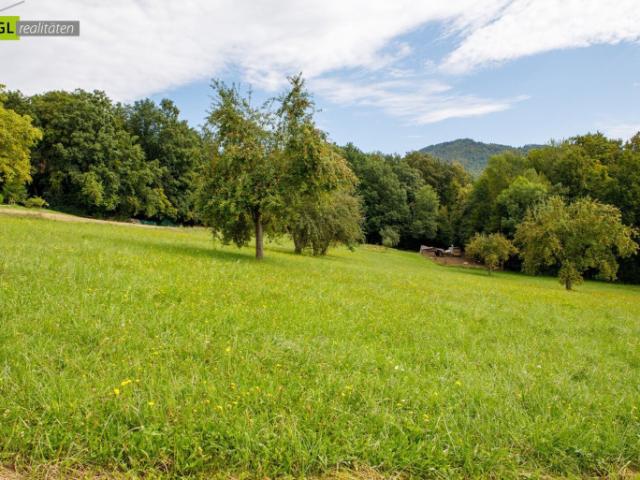 Idyllisches Landhaus im Vulkanland mit großem Nebengebäude – Nähe Bad Gleichenberg