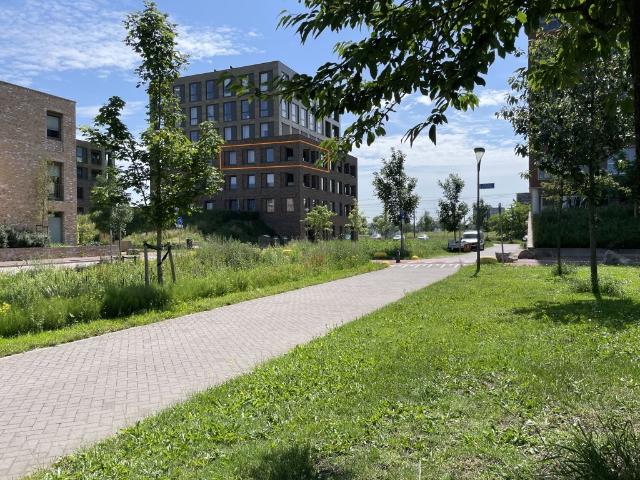 Ien Daleslaan, Woerden
