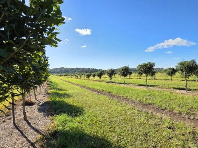 If you were waiting for the best farm in the area this is your lucky day!