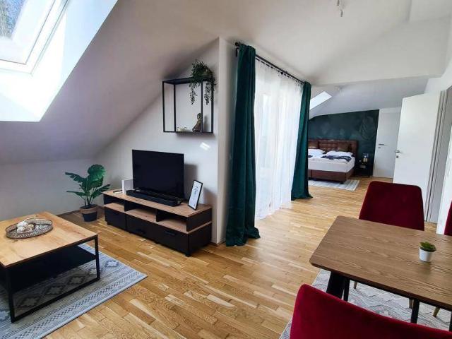 JAMES BOND LÄSST GRÜSSEN| SINGLELOFT | 1.MONAT MIETFREI