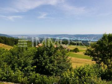 Langnau am Albis, Bezirk Horgen, Kanton Zürich