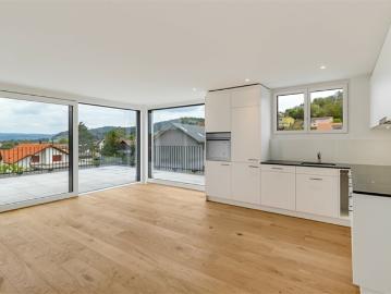 Ihr neues Zuhause 2.5 Zimmer Attikawohnung mit riesiger Terrasse