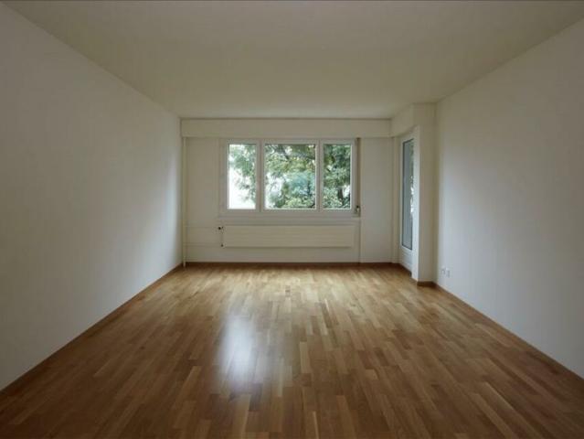 Ihr neues Zuhause am Greifensee