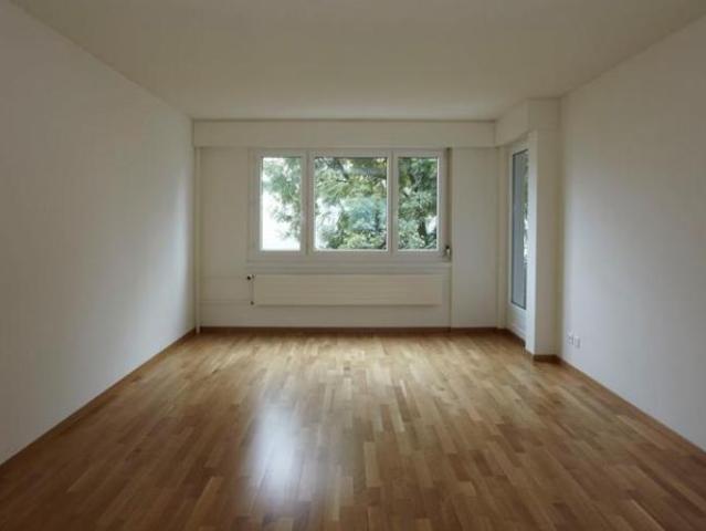 Ihr neues Zuhause am Greifensee