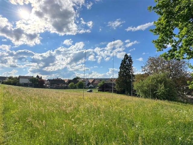 Ihr neues Zuhause im Grünen Projekt Kleeblatt Pfyn