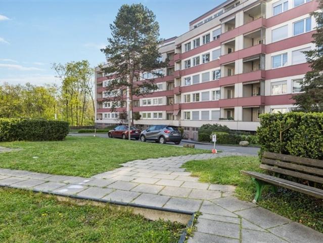 Ihr neues Zuhause mitten im Leben, umgeben von Grün