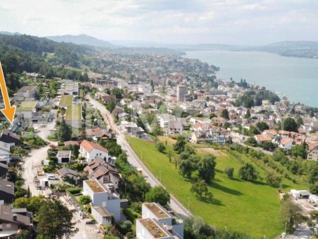 Ihr neues Zuhause mit Panoramasicht von Zürich bis in die Alpen