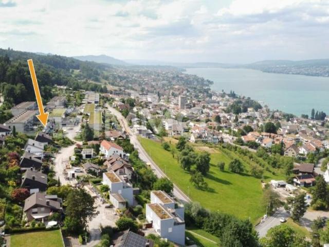 Ihr neues Zuhause mit Panoramasicht von Zürich bis in die Alpen