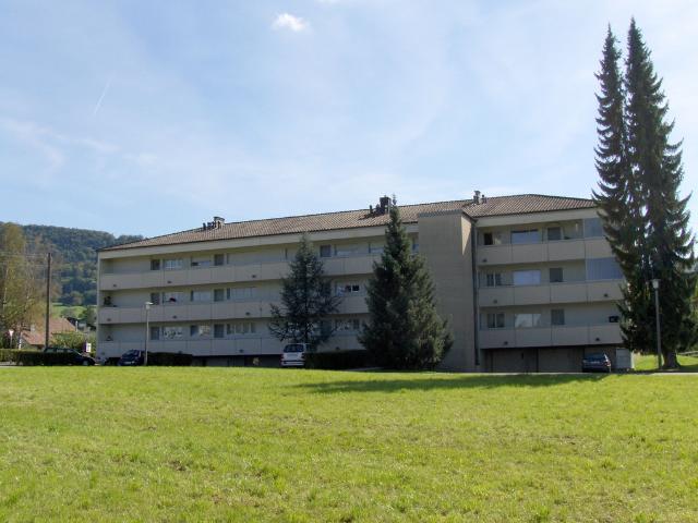 Ihr neues Zuhause? renovierte Wohnung in grüner Umgebung