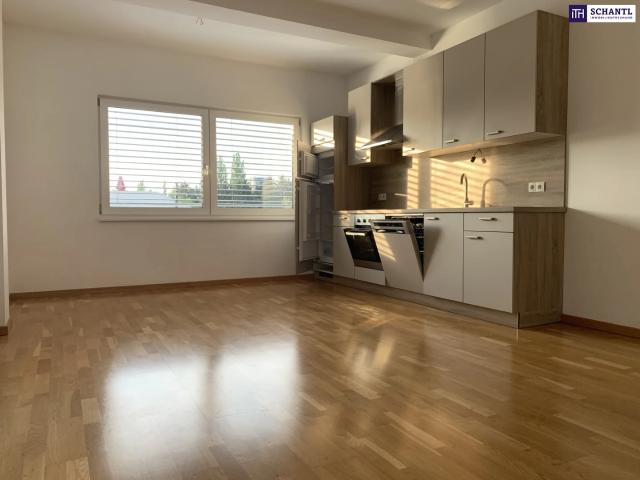 Ihr Platz an der Sonne: Traumwohnung mit ca. 60 m² in Graz Liebenau mit Balkon, Carport & Wohlfühlgarantie – jetzt besichtigen & begeistern lassen