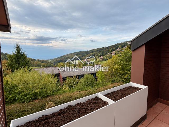 Ihr Rückzugsort im Schwarzwald – hochwertig sanierte Wohnung mit Balkon & Klimaanlage