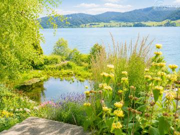 Ihr Wohntraum mit Panoramaausblick am Sihlsee