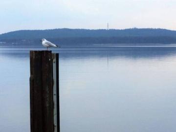 Friedrichshagen, Berlin, Elsengrund, Berlin, Bundesland Berlin