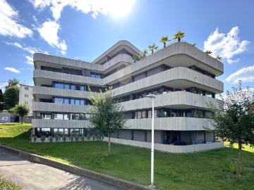 Horgen, Bezirk Horgen, Kanton Zürich - Keller