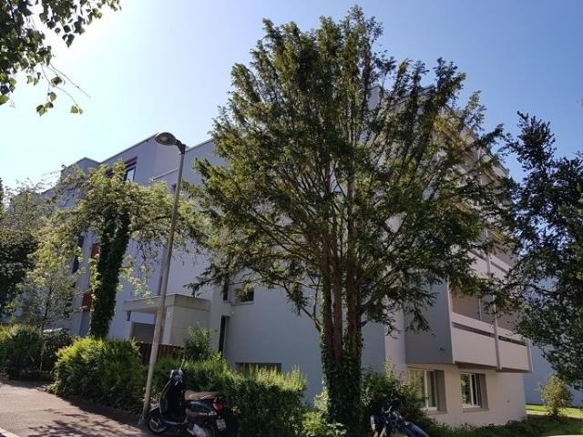 Ihre neue Wohlfühloase