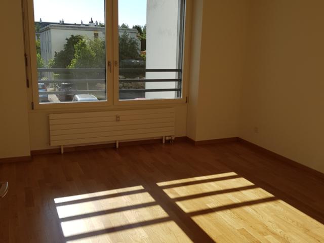 Ihre gemütliche 2.5 Zimmerwohnung im Sisseln