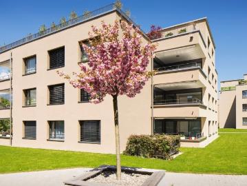 Kerns, Obwalden - Balkon, Terrasse, Aufzug