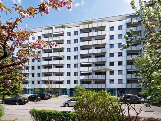 Ihre zentrale Wohnung in Basel