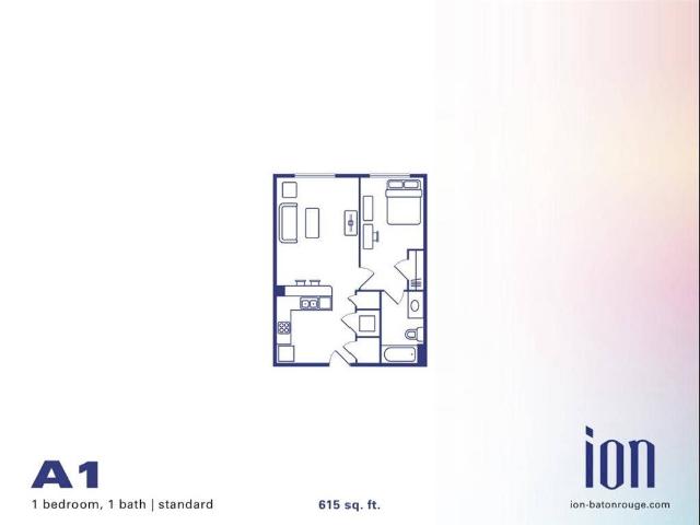 ION BATON ROUGE APARTMENT