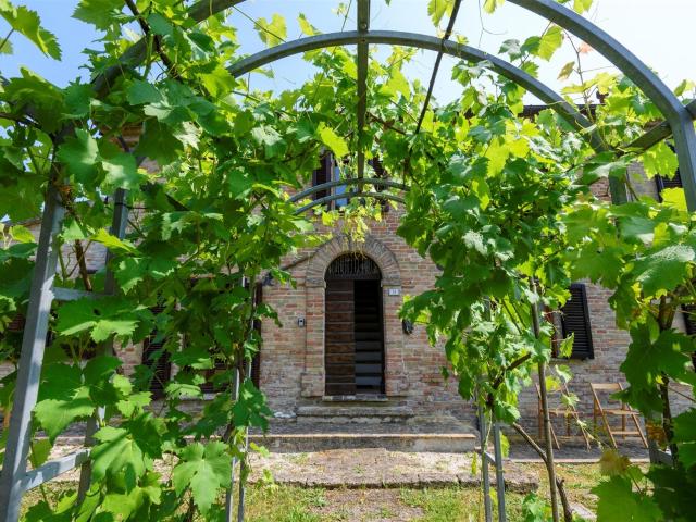 Il comune di Mondavio Bandiera Arancione dal 2003 è situat. 230m² Mondavio