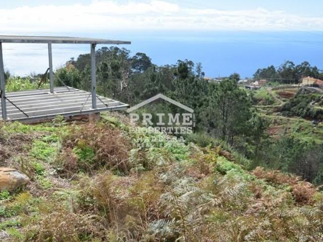 Ilha da Madeira Portugal 101398896